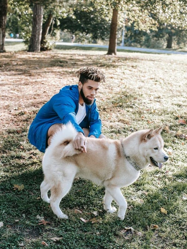 Yakutian Laika Care Guide