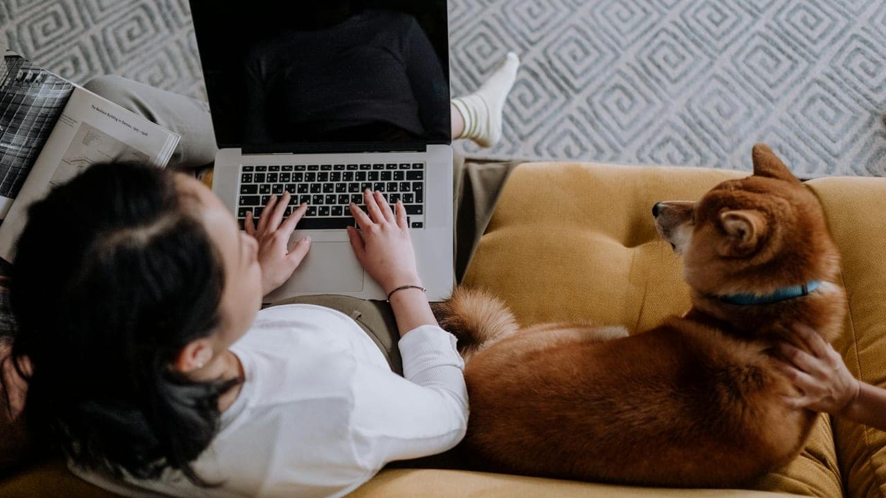The Real Lifetime Cost of Owning a Dog (A 12-Year Itemized Budget)