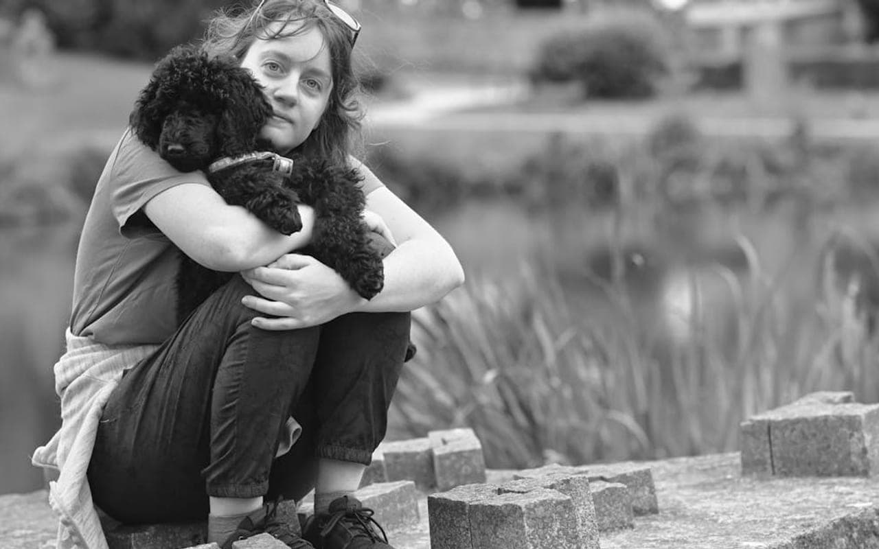 Poodle (Miniature) — gallery 2