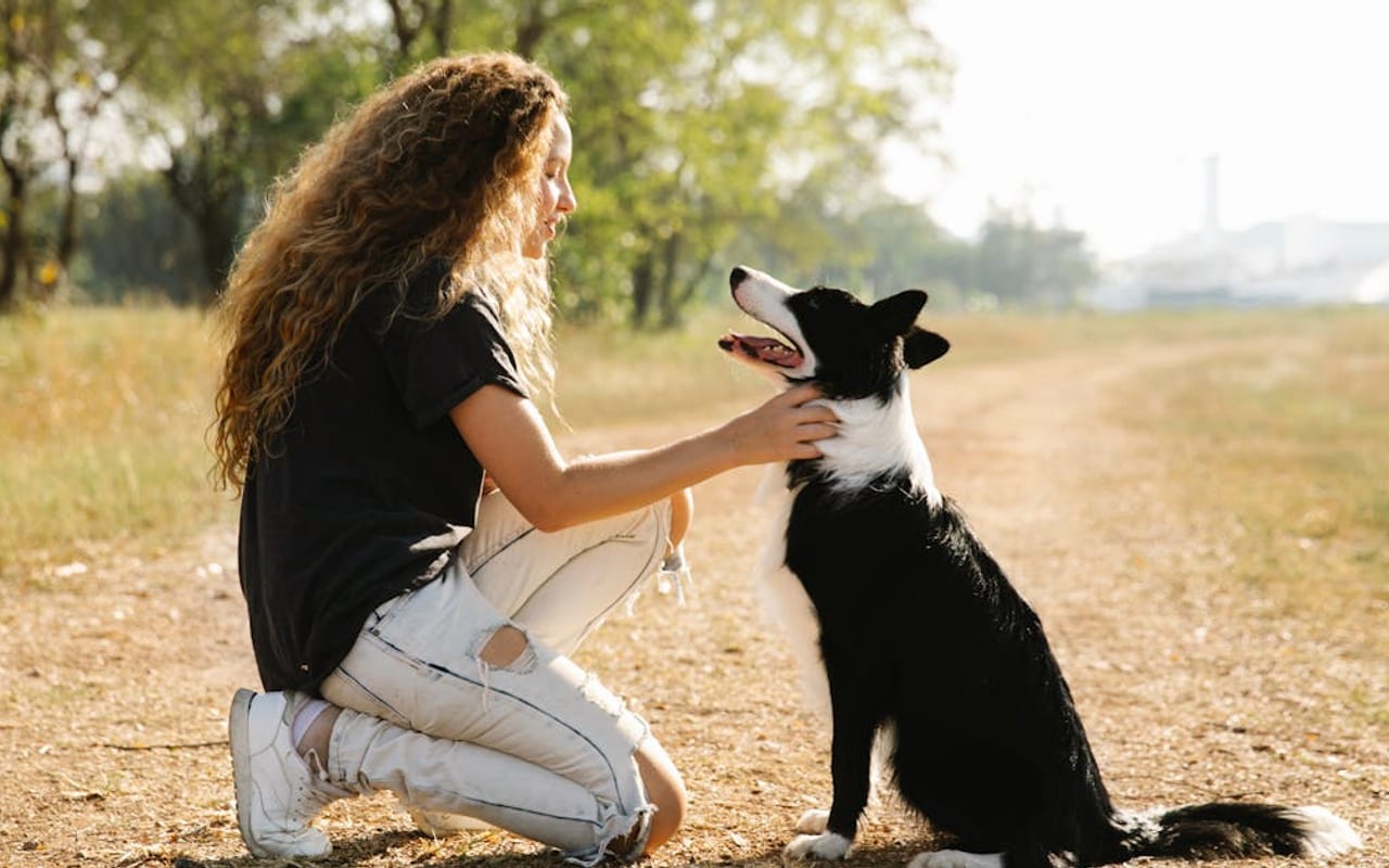 Border Collie — Border Collie with owner — photo by Blue Bird