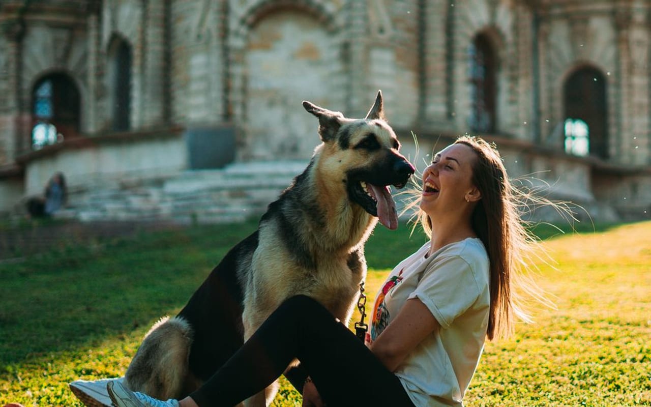 German Shepherd — German Shepherd with family — photo by Nikita  Grishin