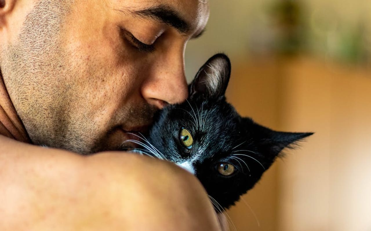Manx — Manx with owner — photo by kaylin Jacobs