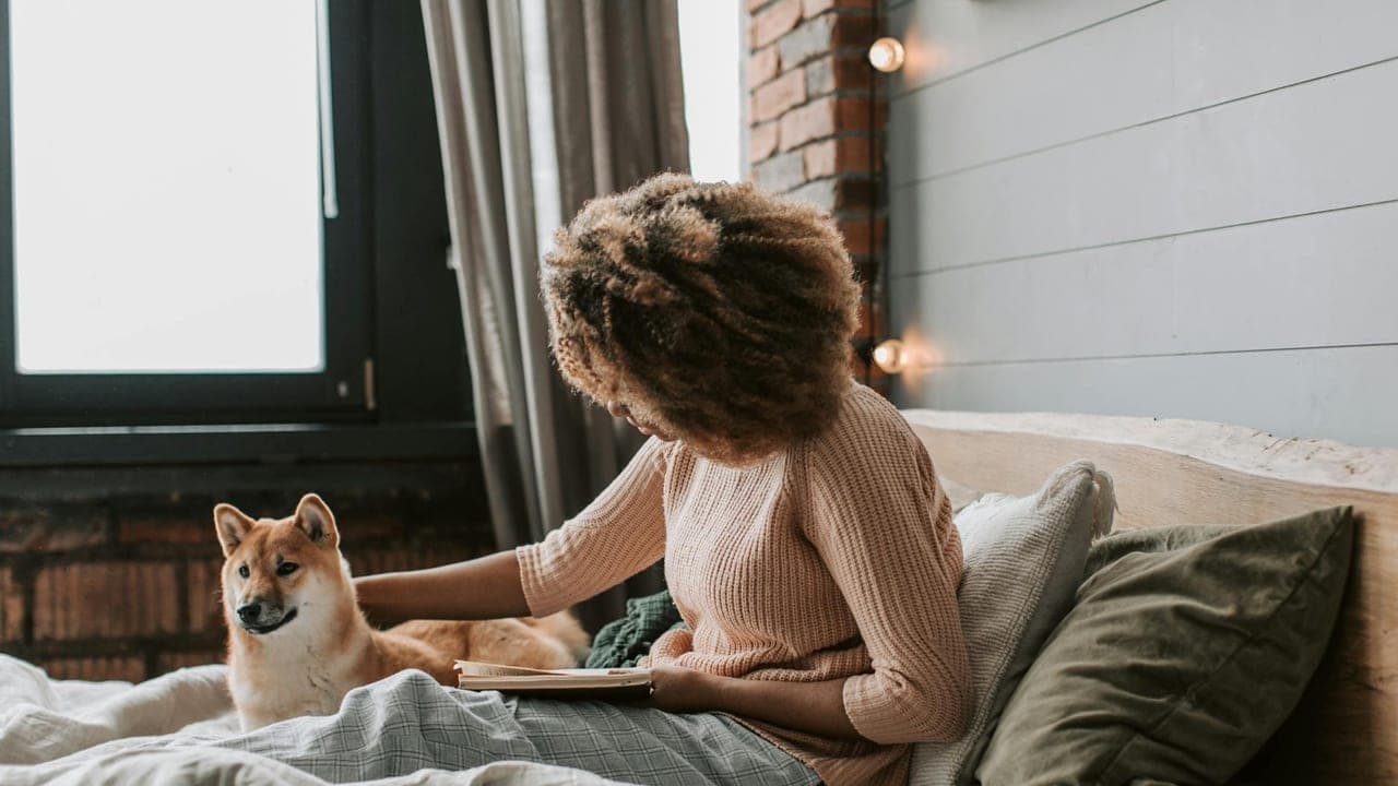Furbo vs Petcube: Which Pet Camera and Treat Dispenser Should You Buy?