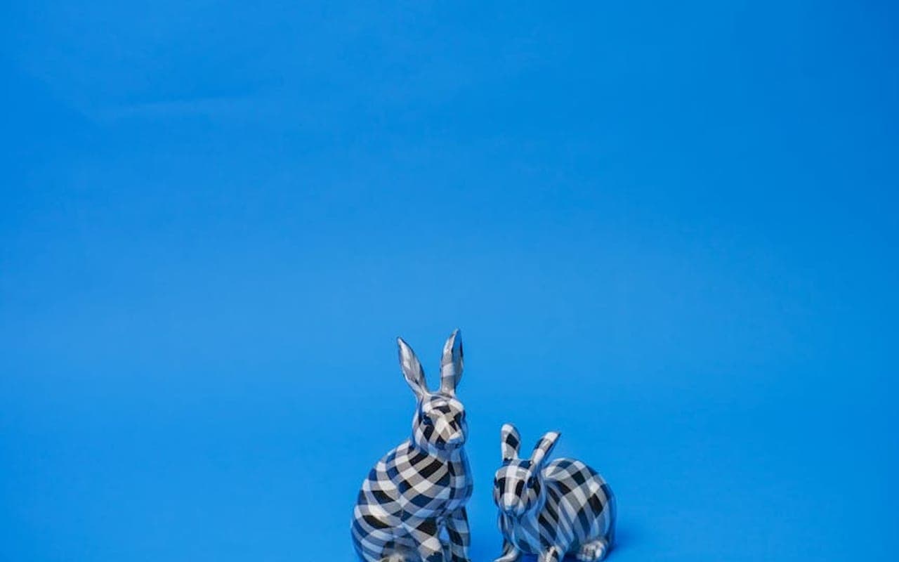 Checkered Giant — gallery 4 (Pexels)