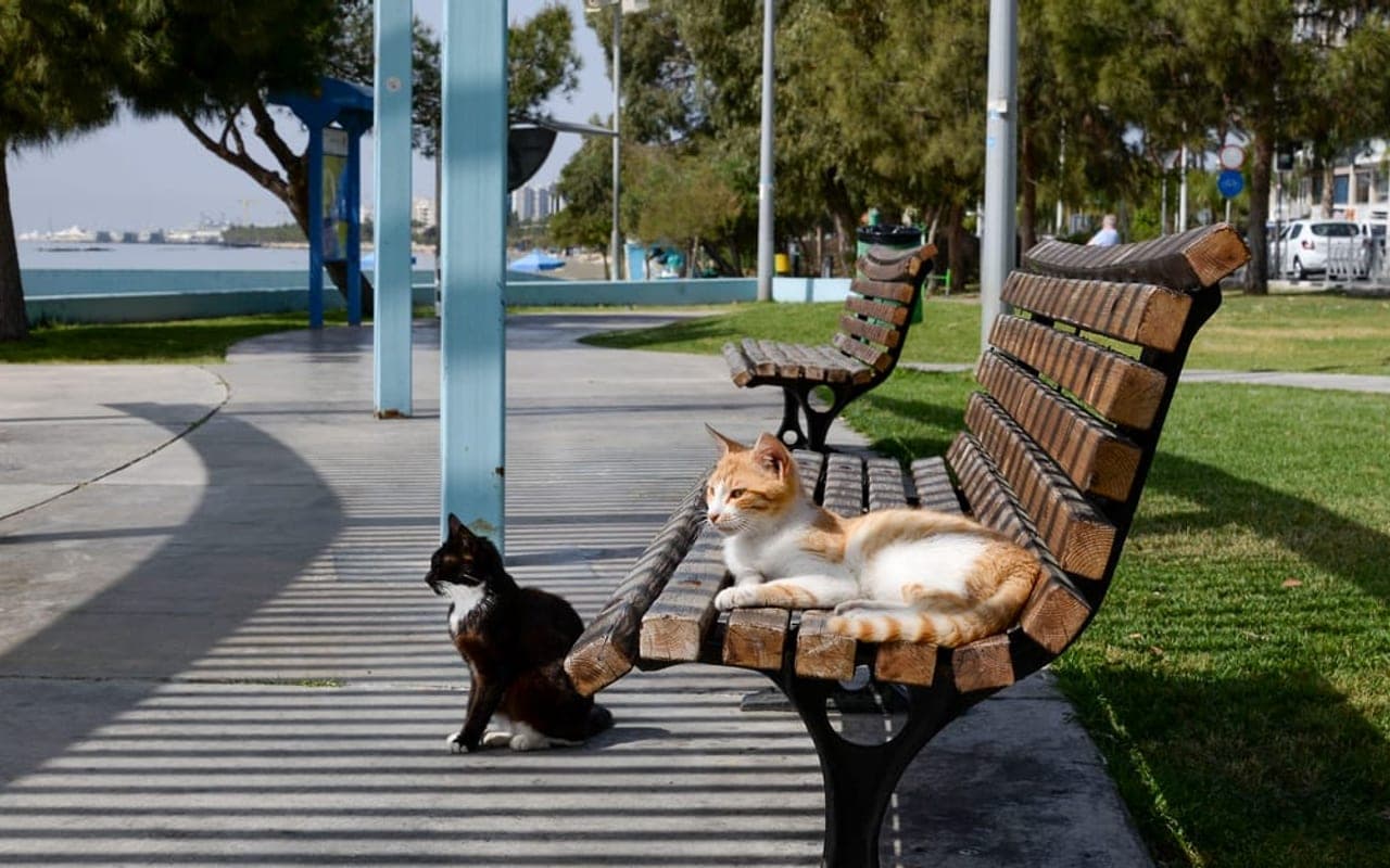 Cyprus — gallery 3