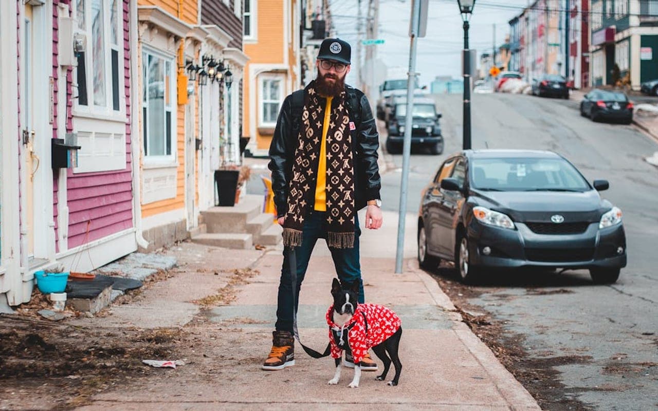 Newfoundland — gallery 2