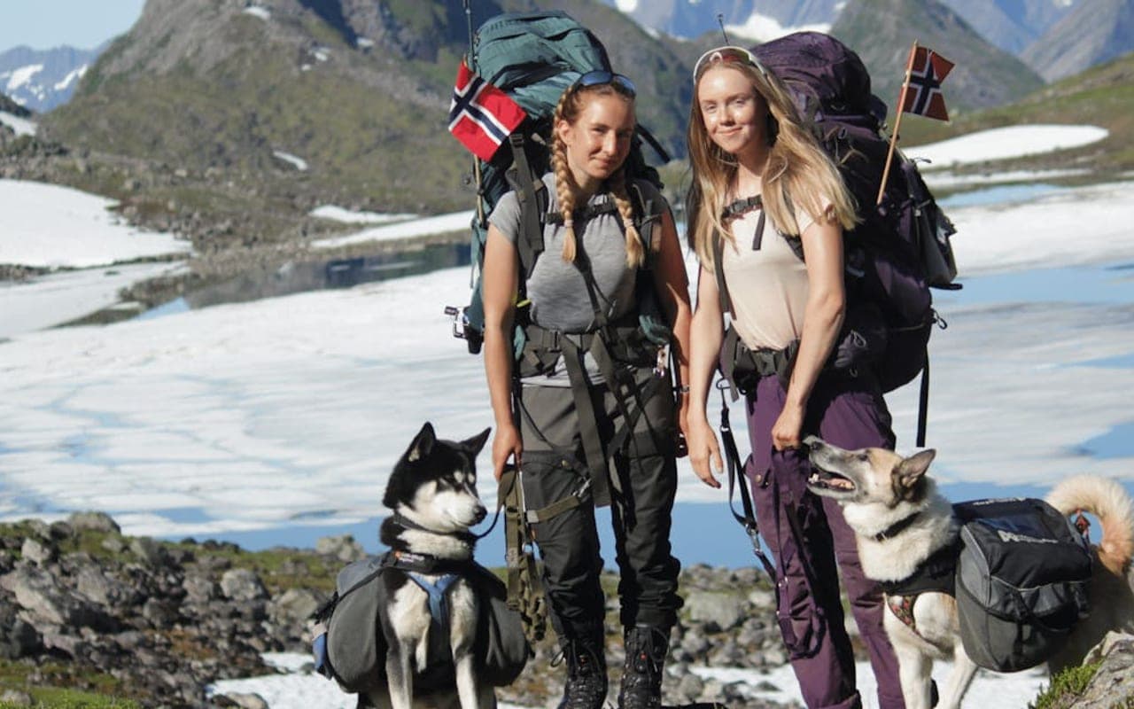 Norwegian Elkhound — gallery 3