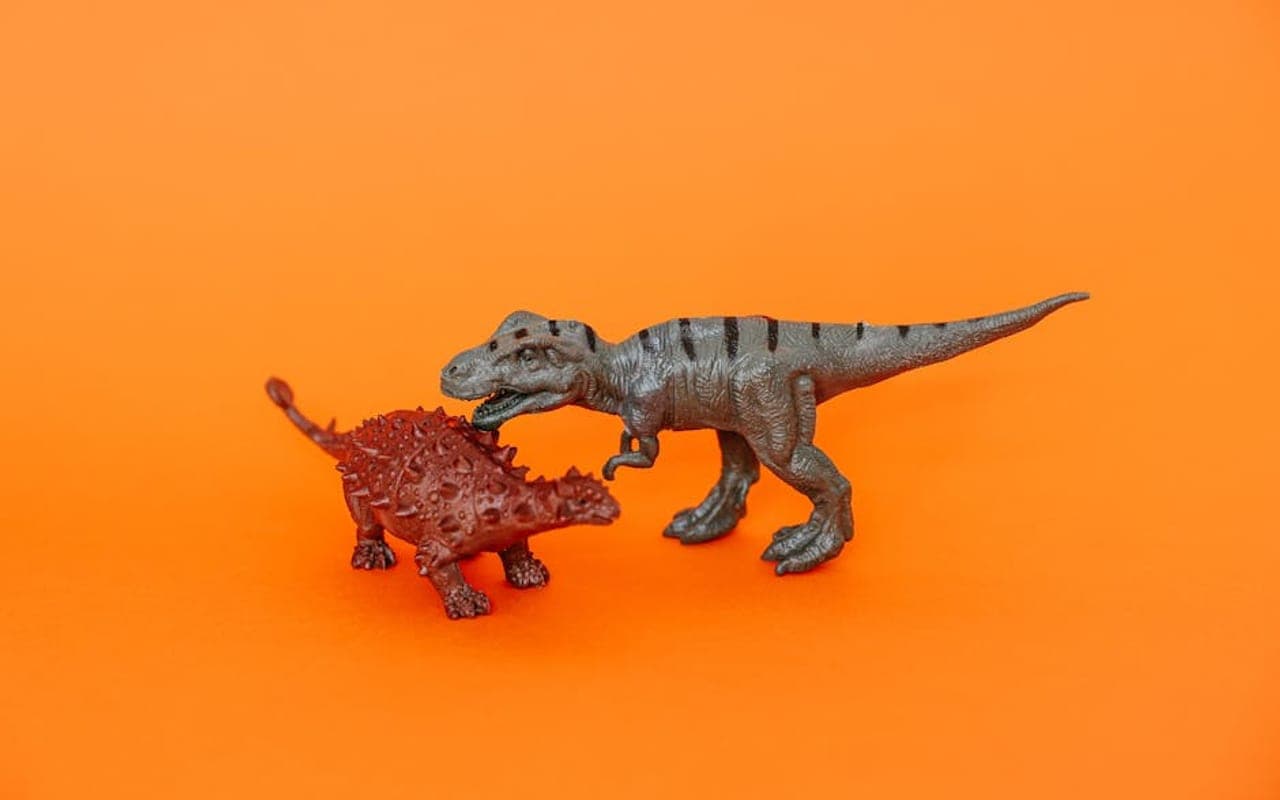 Rex — gallery 1