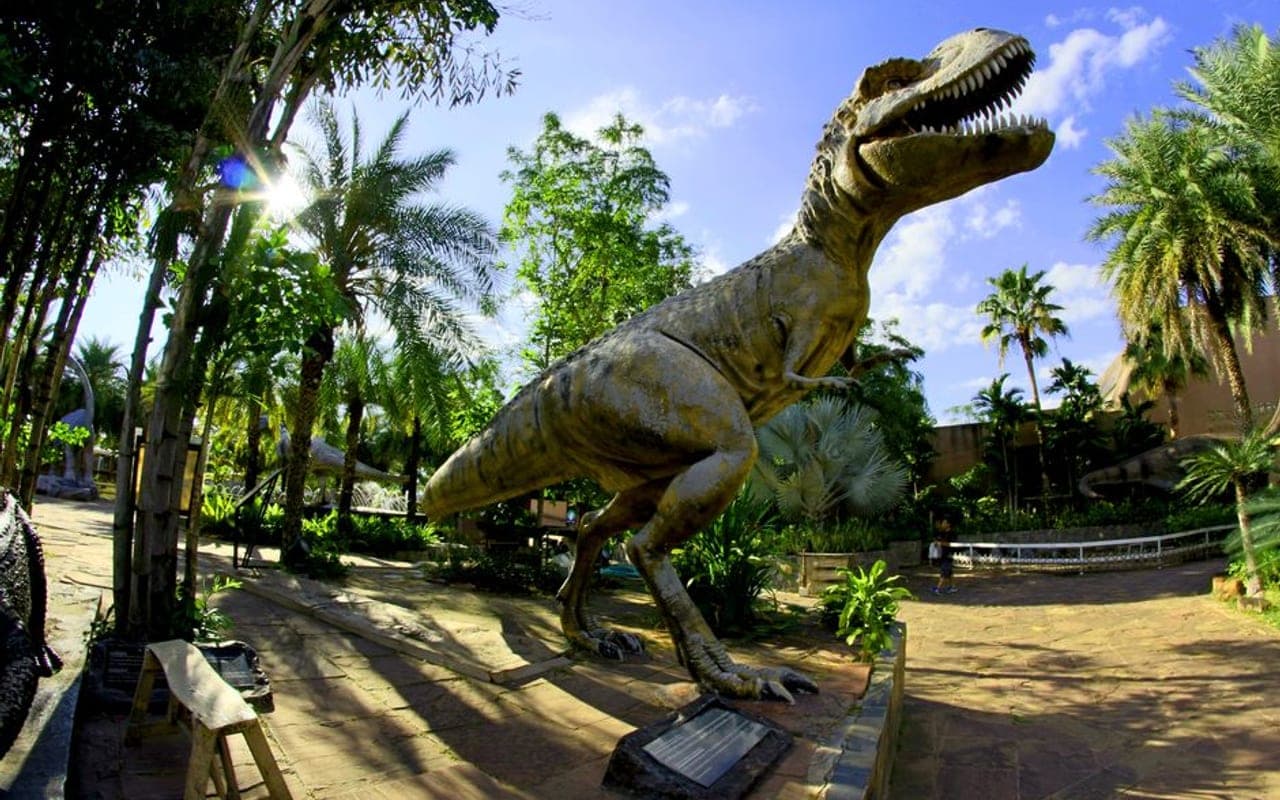 Rex — gallery 3