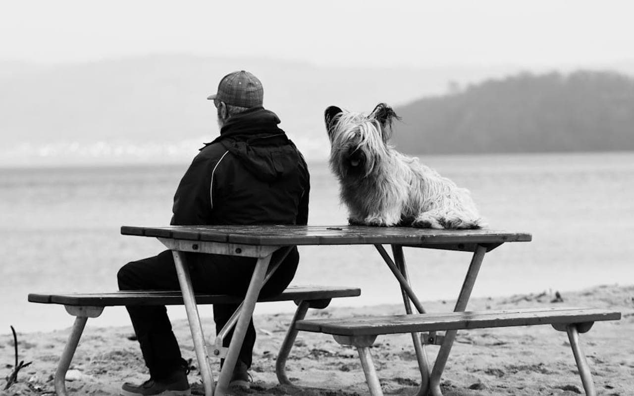 Skye Terrier