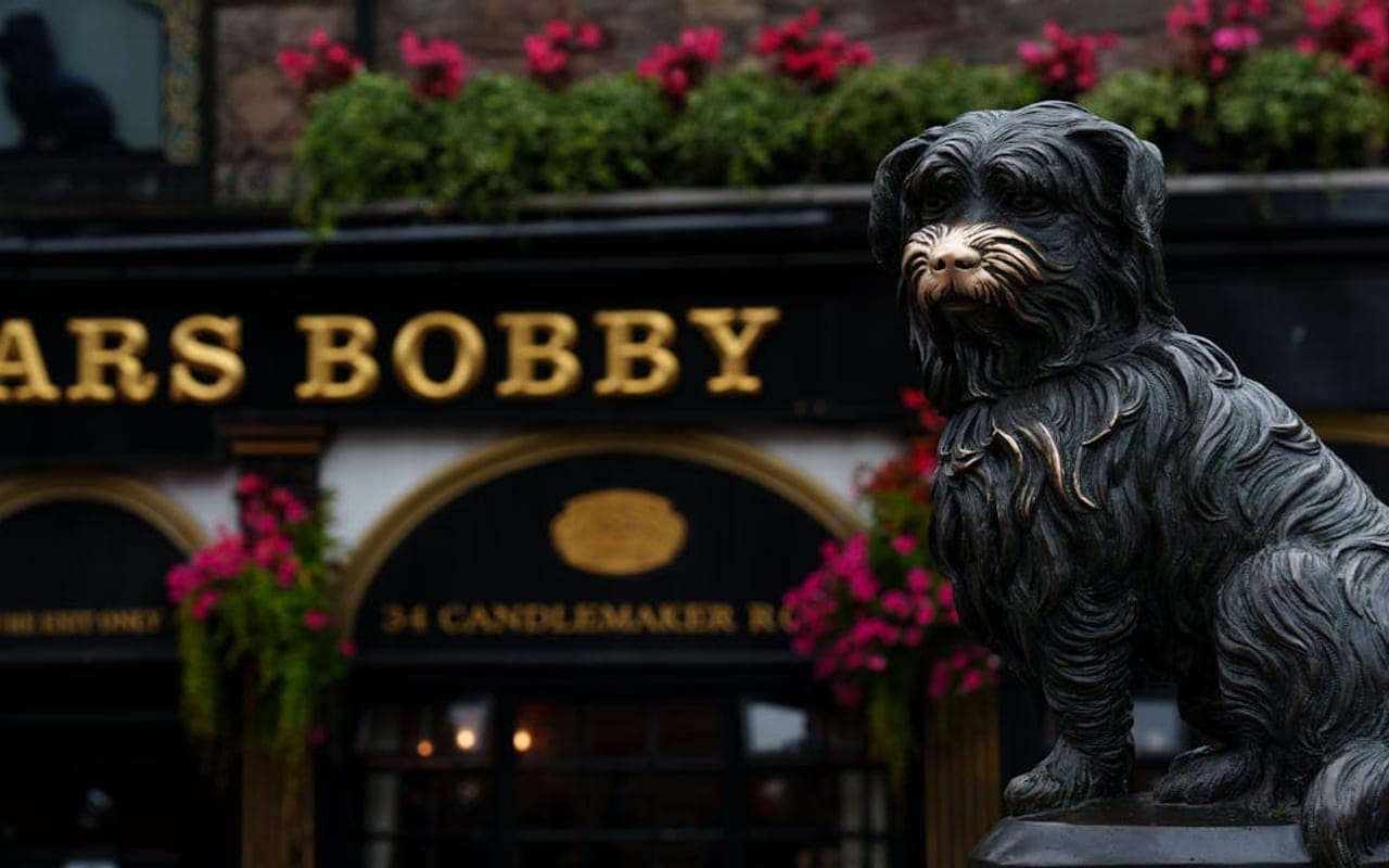 Skye Terrier — gallery 2
