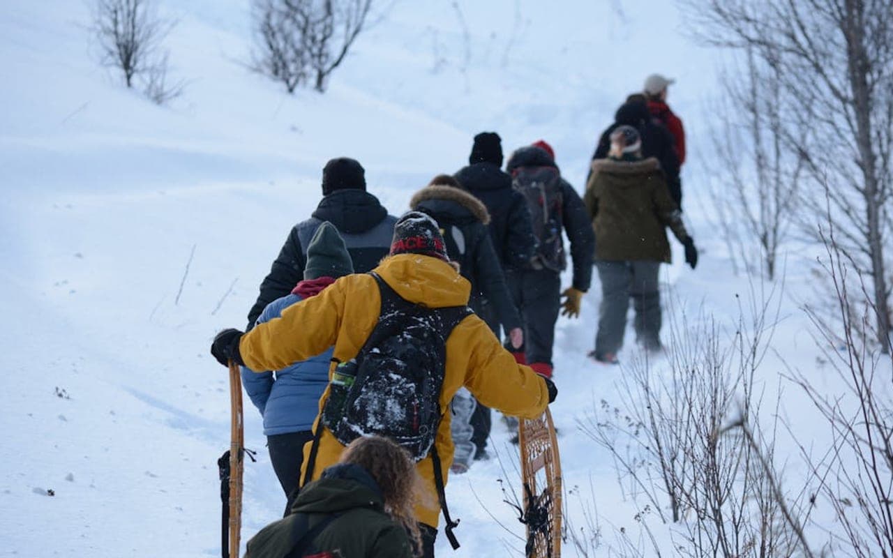Snowshoe — gallery 3