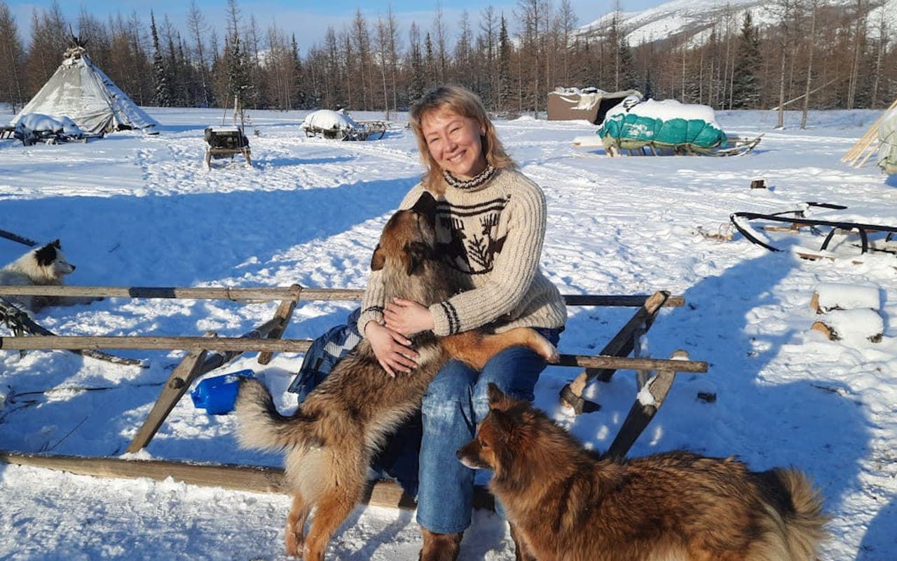 Yakutian Laika dog breed