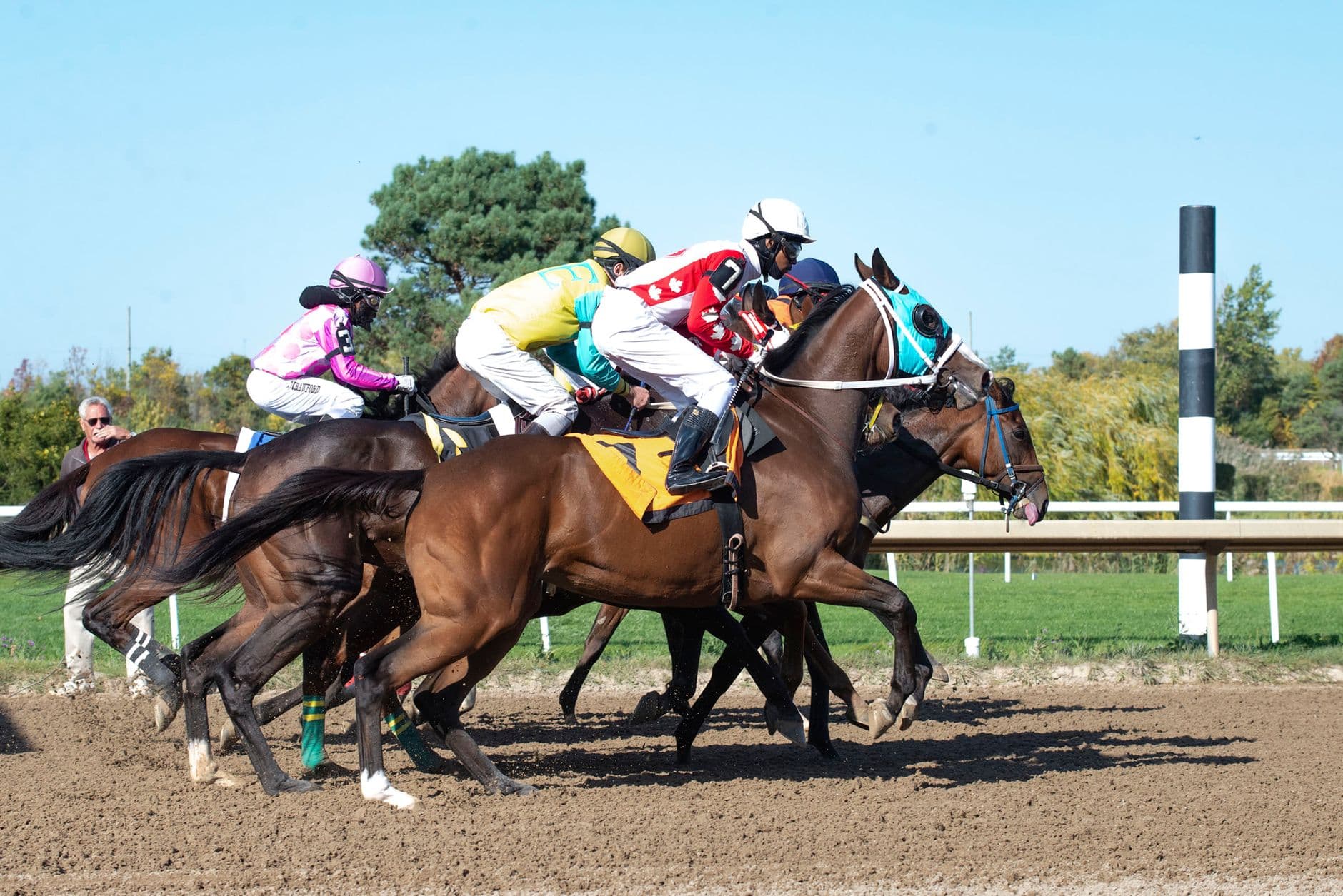 Thoroughbred Horse — Exciting horse race featuring jockeys and thoroughbred horses sprinting on a dirt track.