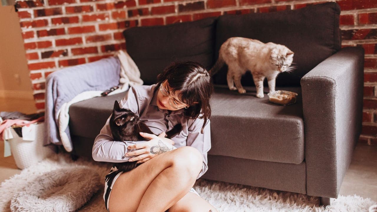 I Discovered I'm Allergic to Cats. I Kept My Cats Anyway.