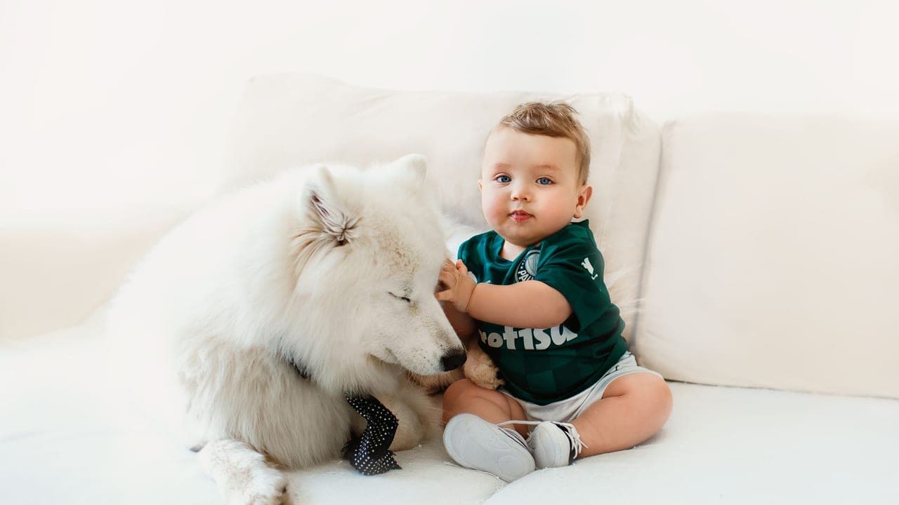 How We Introduced Our Dog to Our Newborn — What Worked and What Almost Went Wrong